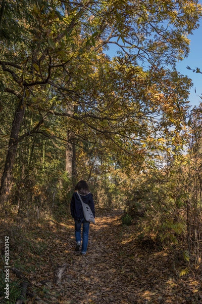 Fototapeta 長瀞ラインくだり