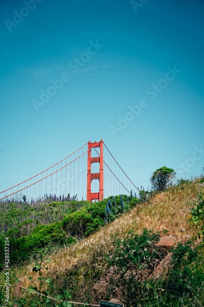 Obraz golden gate bridge