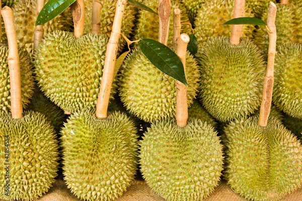 Obraz fruit for sale