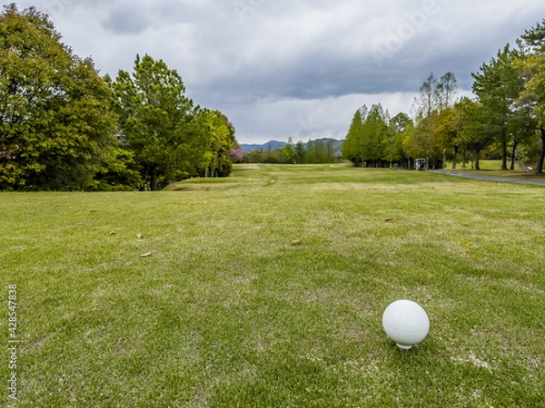 Obraz golf ball on the course