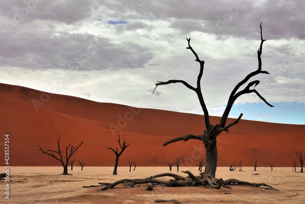 Obraz Sossusvlei/Namibia