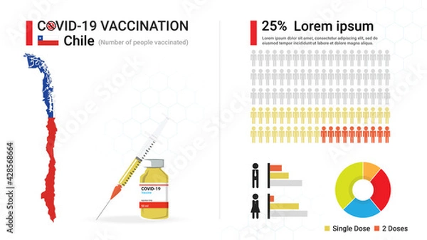 Fototapeta Covid-19 vaccine infographic. Coronavirus vaccination in Chile. Design by map of Chile, vaccine bottle, syringe and progress of Chilean's immune reconstitution, statistic chart. Vector illustration