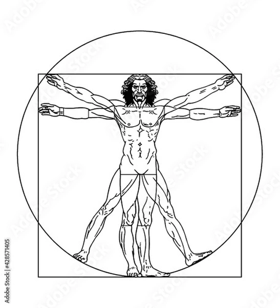 Obraz Vector vitruvian man illustration
