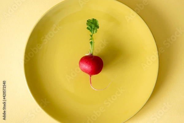 Obraz Red radish on yellow plate