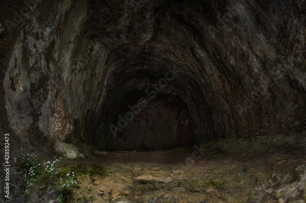 Fototapeta View into the entrance of a dark, tunnel-like cave in the Plitvitzer National Park.