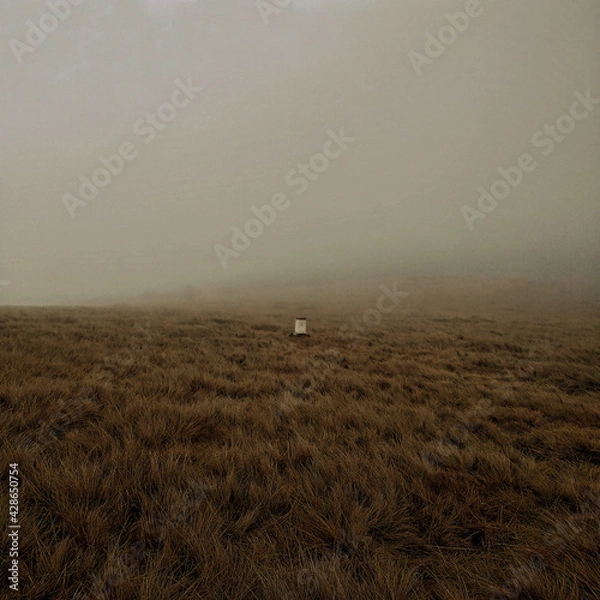Obraz Border between Poland and Czech republic