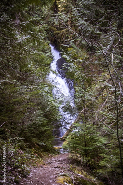 Obraz waterfall in the forest