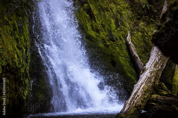 Fototapeta Hemlock Falls