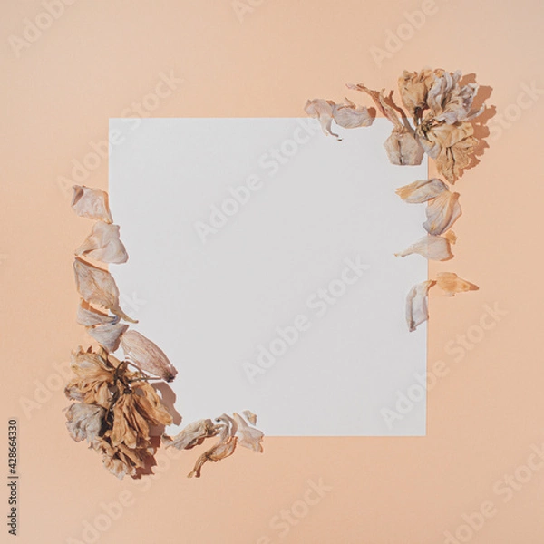 Obraz Creative retro concept layout with delicate flowers and a white card on pastel orange background. Natural, floral visual, flat lay, modern minimalistic arrangement.