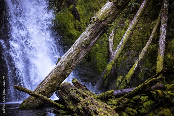 Obraz Hemlock Falls