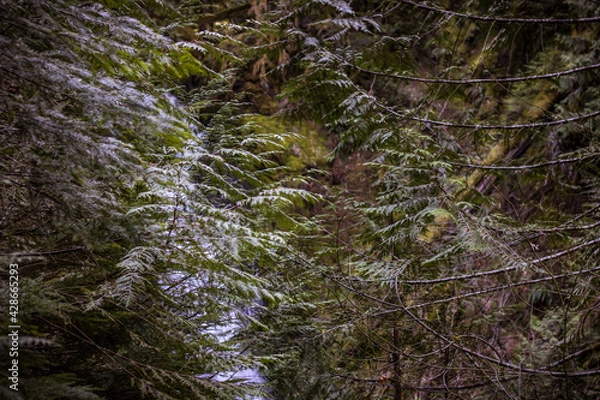 Obraz water in the background