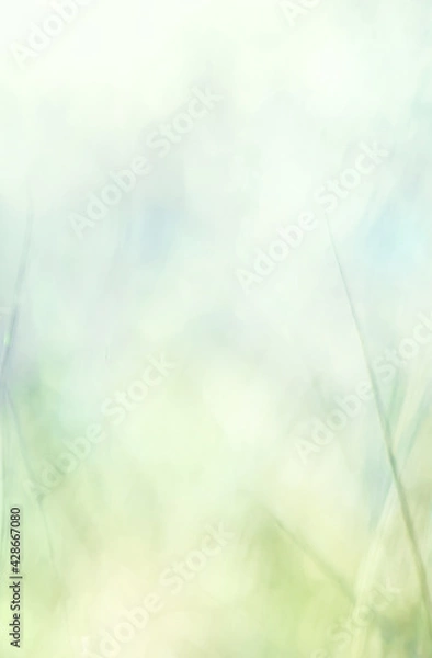 Obraz Artistic natural blurred green, blue and white background