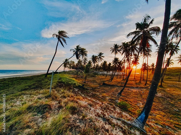 Obraz Subaúma beach