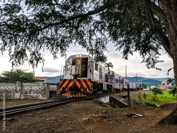 Obraz Trem do Forró - Senhor do Bonfim BA