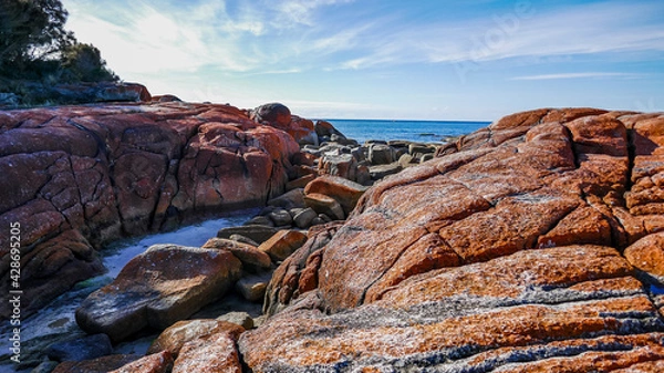Fototapeta Orange rocks, Bay of Fires, Tasmania, Australia