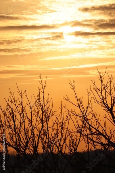 Obraz sunset over the river