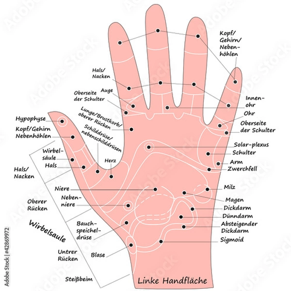 Obraz Handreflexzonen der Linken Hand