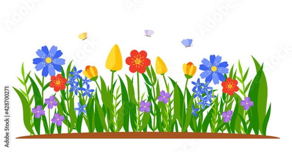 Obraz Border of flowers growing in grass. Spring tulips, daffodils or daisies in flat cartoon style. Flower bed. Colored landscape nature springtime decorative element. Isolated on white vector illustration