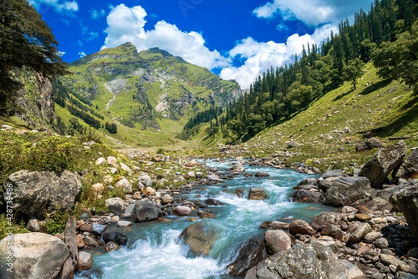 Obraz Mountain river in the mountains. The beautiful river flowing between alpine meadows in the lap of Himalaya, Parvati valley, trek to Hamta Pass, 4270 m in Parvati valley in Himalaya, India. 