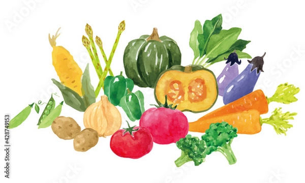 Fototapeta 野菜の水彩イラストセット