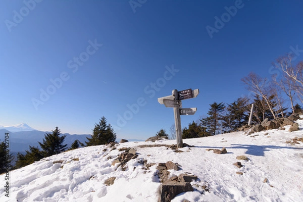 Obraz 雪の登山道