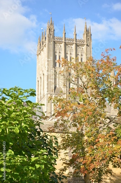 Fototapeta View of Cathedral in Wells