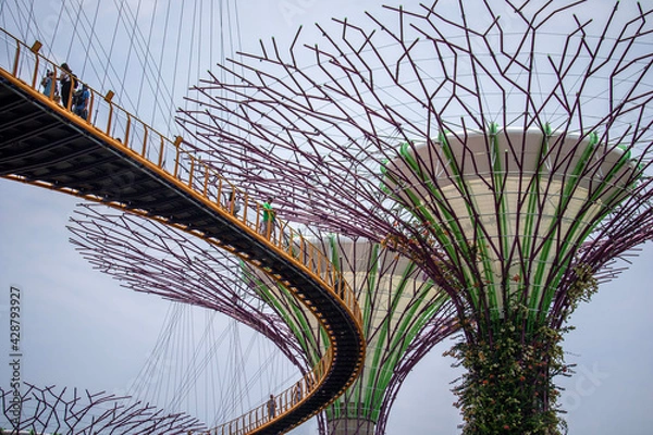 Obraz bridge over river