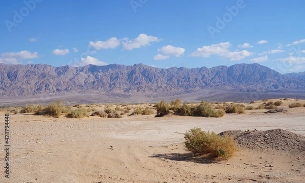 Fototapeta Sand dunes in the desert, selective focus