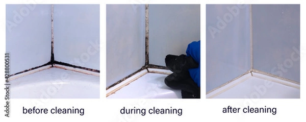 Fototapeta A collage of photos before, during, and after cleaning the black toxic mold in the inter-tile seams in the corner of the bathroom. An example of successful operation of cleaning chemicals