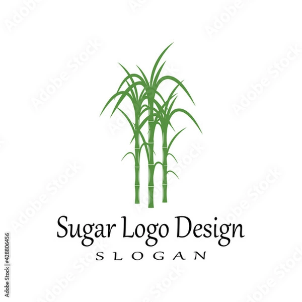 Obraz Sugar cane Logo Template vector symbol nature