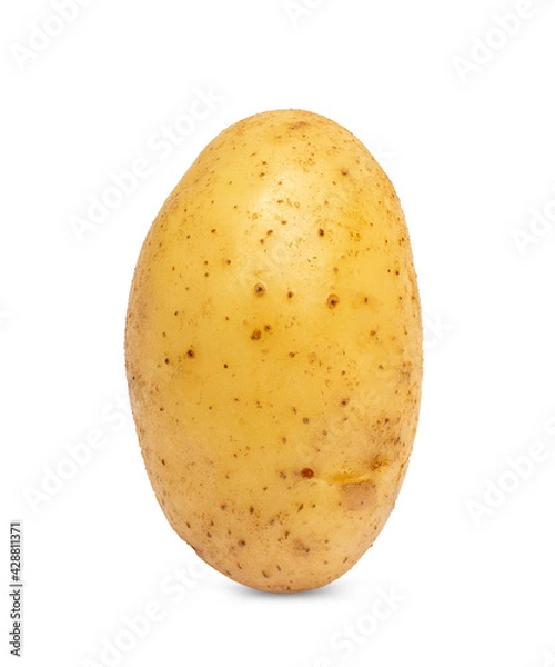 Fototapeta Fresh potato isolated on white background