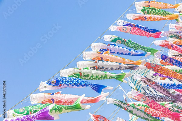 Obraz 鯉のぼり　こどもの日　