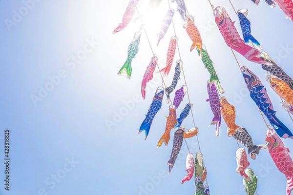 Obraz 鯉のぼり　こどもの日　