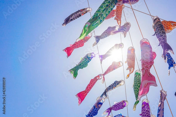 Obraz 鯉のぼり　こどもの日　