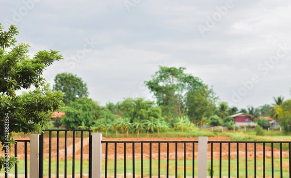 Obraz trees in the garden