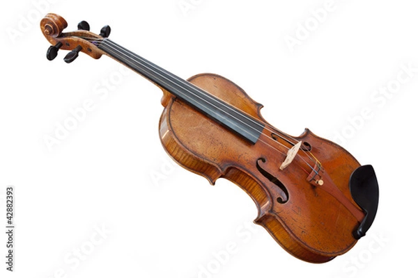Fototapeta violoncello