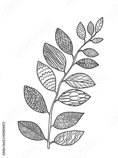 Fototapeta Coloring book for children and adults. Natural drawing, doodle. A branch with leaves. Drawing with patterns and details. Black and white. Design of wallpaper, packaging, postcards and posters.
