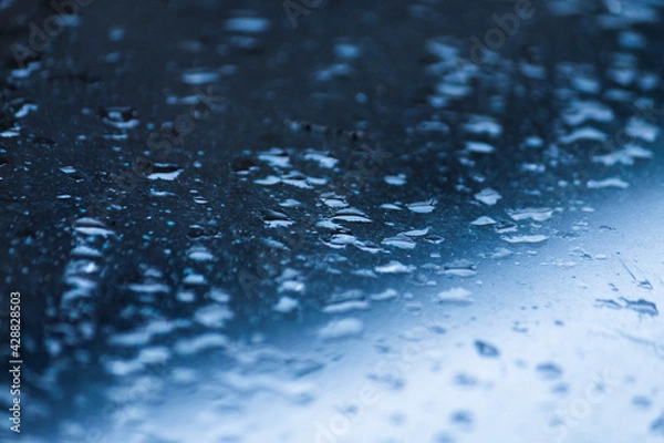 Fototapeta Drops III