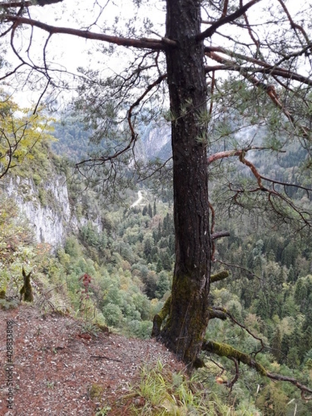 Obraz Абхазия ,пейзажи