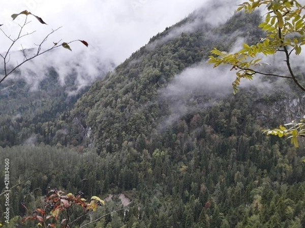 Obraz Абхазия ,пейзажи