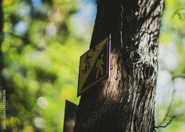 Obraz sign on a tree
