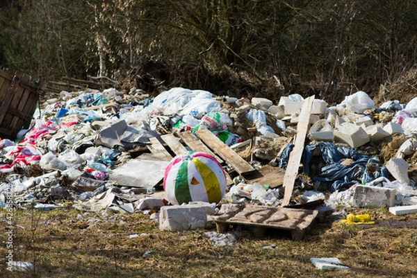 Fototapeta Garbage dump in the woods, forest. Ecological problems