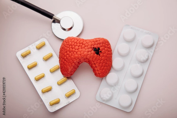 Obraz Treatment of diseases of thyroid concept. Model of organ with patalogy and pills. Top view