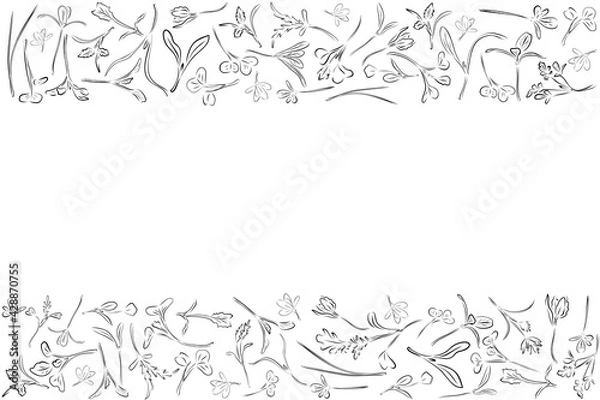 Fototapeta Vector frame with black microgreen. Herbs - carrots, chicory, purslane, radishes, beets, shungiku, cabbage, cabbage, alfalfa, green onions, Pak Choy, broccoli, mustard, lettuce on a white background.
