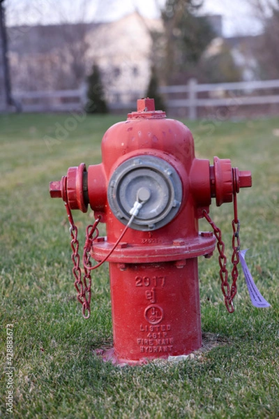 Fototapeta red fire hydrant