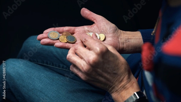 Fototapeta Old woman counting coins in her wrinkled hands. Close up. High quality photo