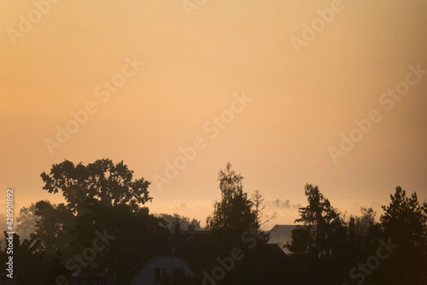 Fototapeta Mgła o poranku