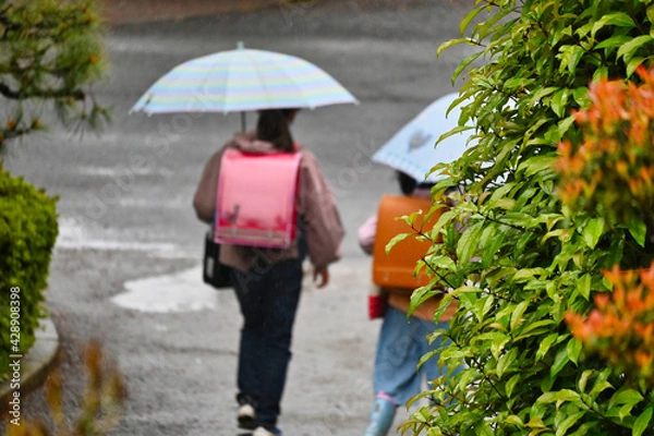 Fototapeta 雨の日の雨傘で通学の女子の後ろ姿