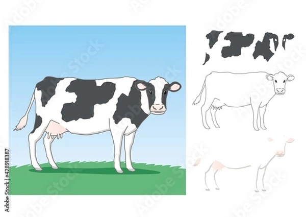 Obraz パーツ分けした牛のイラスト