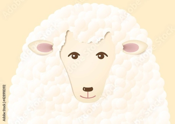 Obraz もこもこヒツジの顔イラスト
